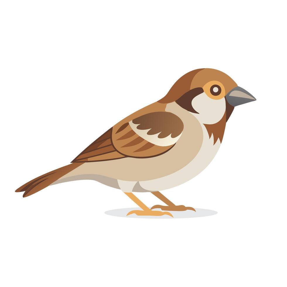 Sparrow animal isolated flat illustration on white background. vector