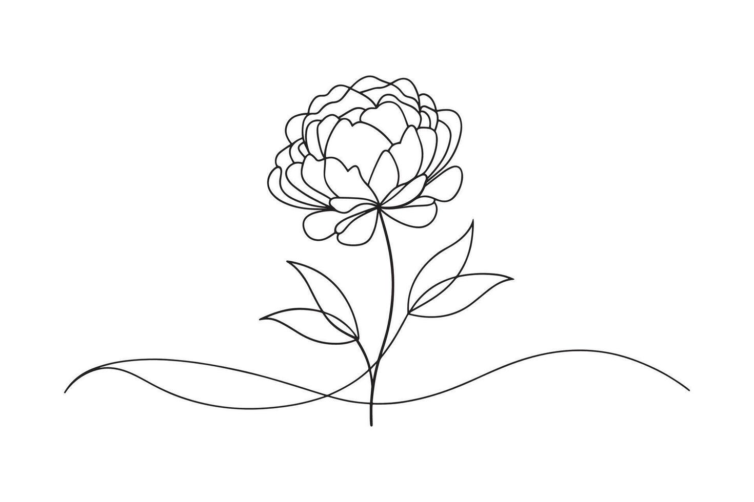 Peony flower isolated continuous line art flat illustration on white background. vector