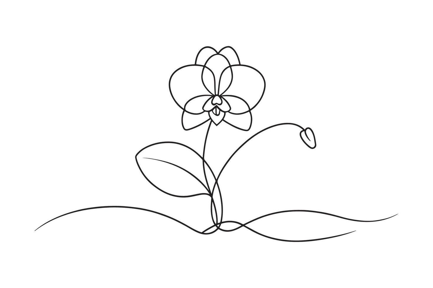 Orchid flower isolated continuous line art flat illustration on white background. vector