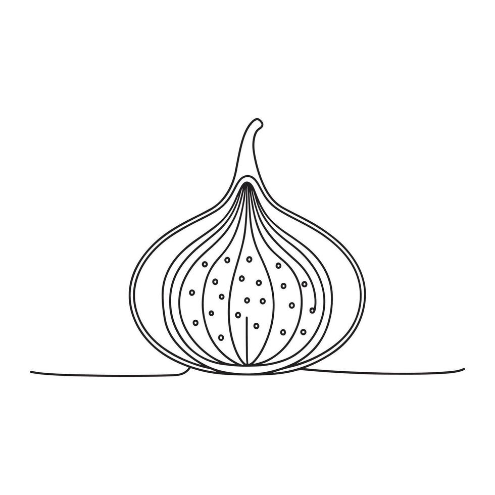 Fig Fruit isolated continuous line art flat illustration on white background. vector