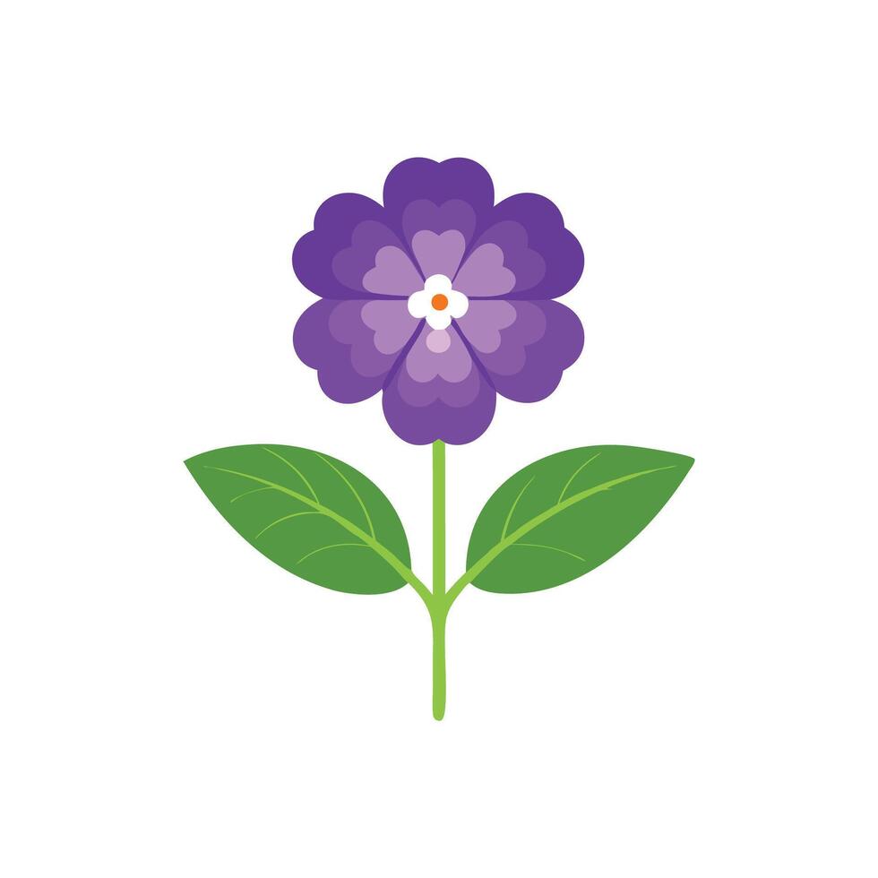Heliotrope flower isolated flat illustration on white background. vector