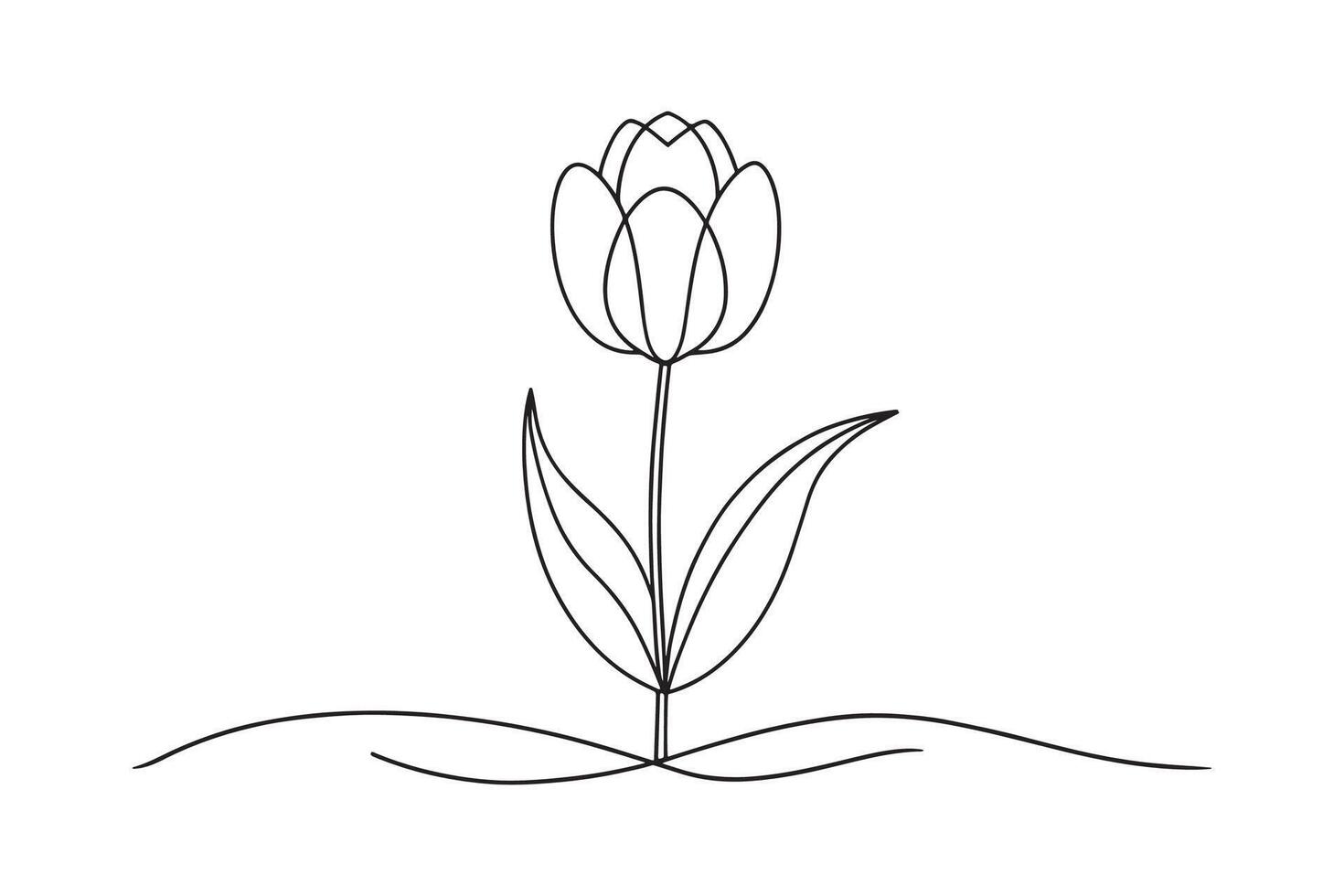 Tulip flower isolated continuous line art flat illustration on white background vector