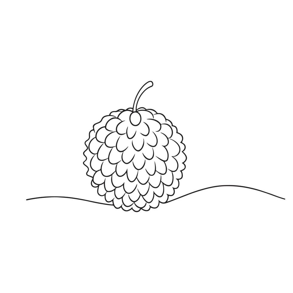 Lychee Fruit isolated continuous line art flat illustration on white background. vector