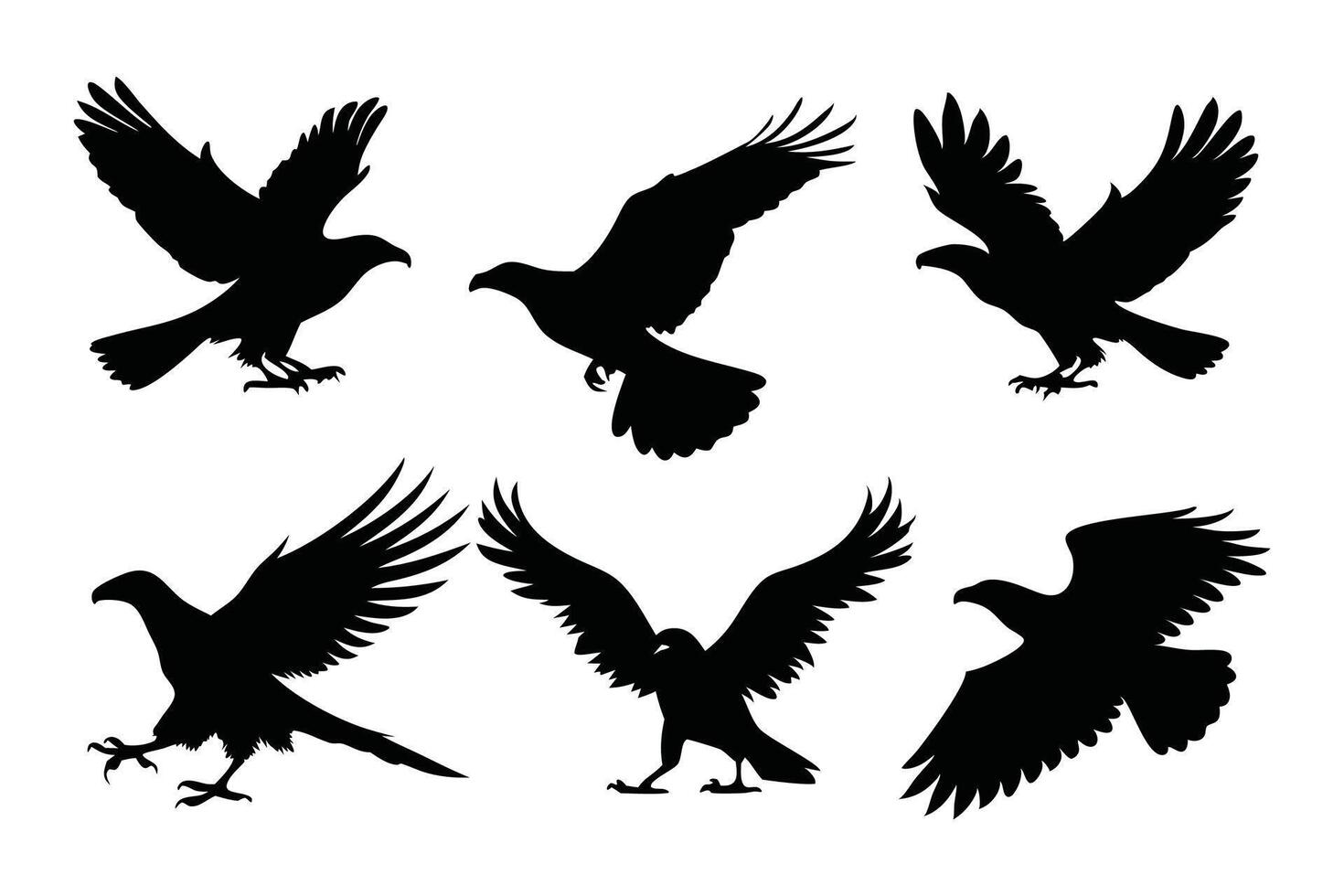 Eagle birds fly silhouettes set isolated flat illustration on white background. vector