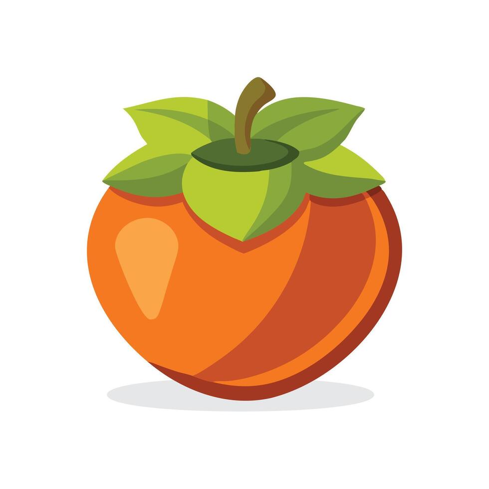 Fuyu persimmon fruit isolated flat illustration on white background vector