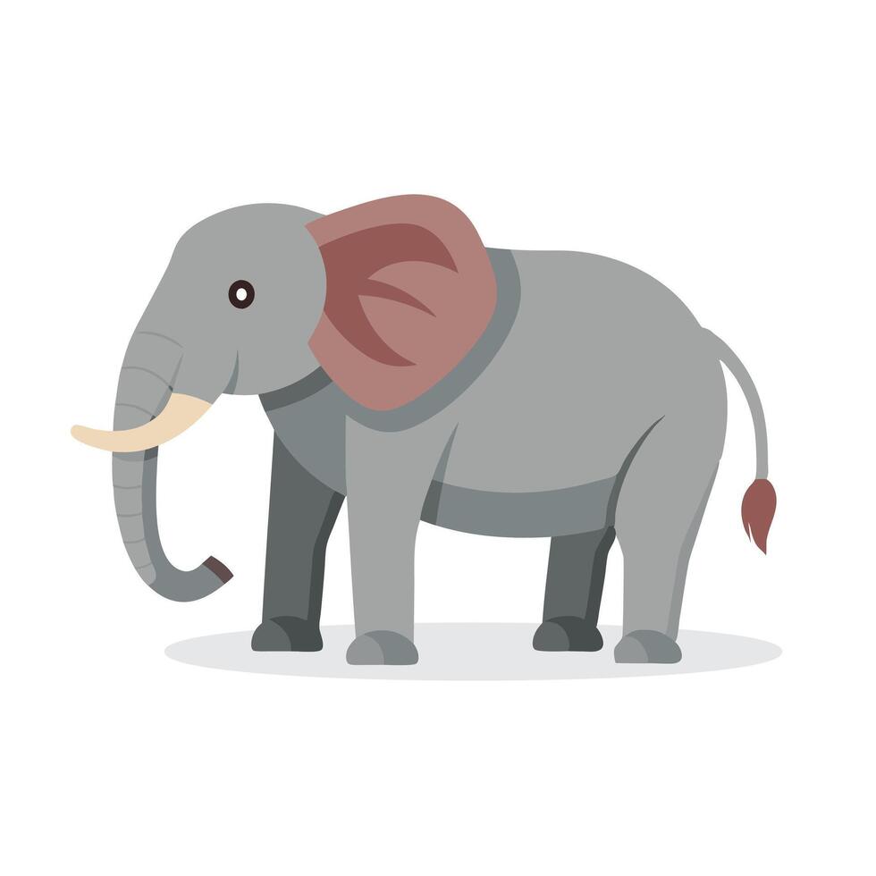 Elephant animal isolated flat illustration on white background. vector