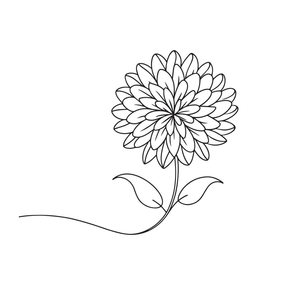 Chrysanthemum flower isolated continuous line art flat illustration on white background. vector