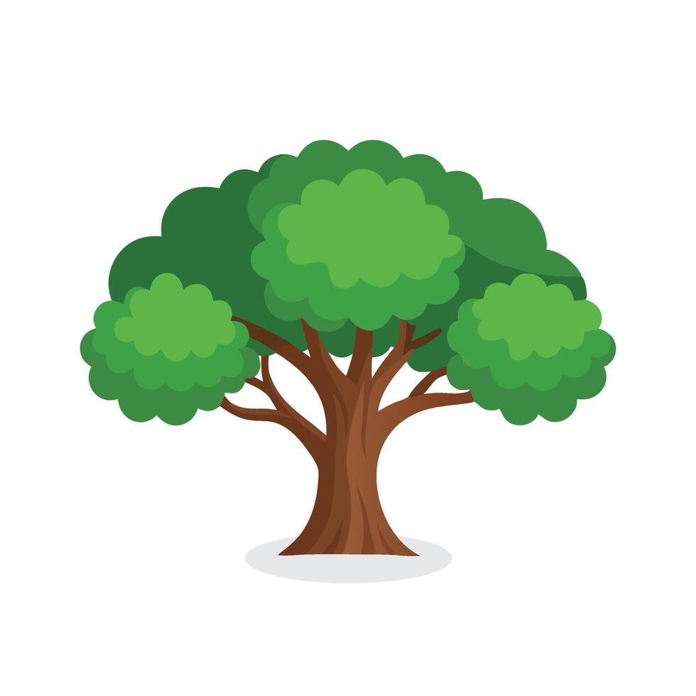 English Oak tree isolated flat illustration on white background vector