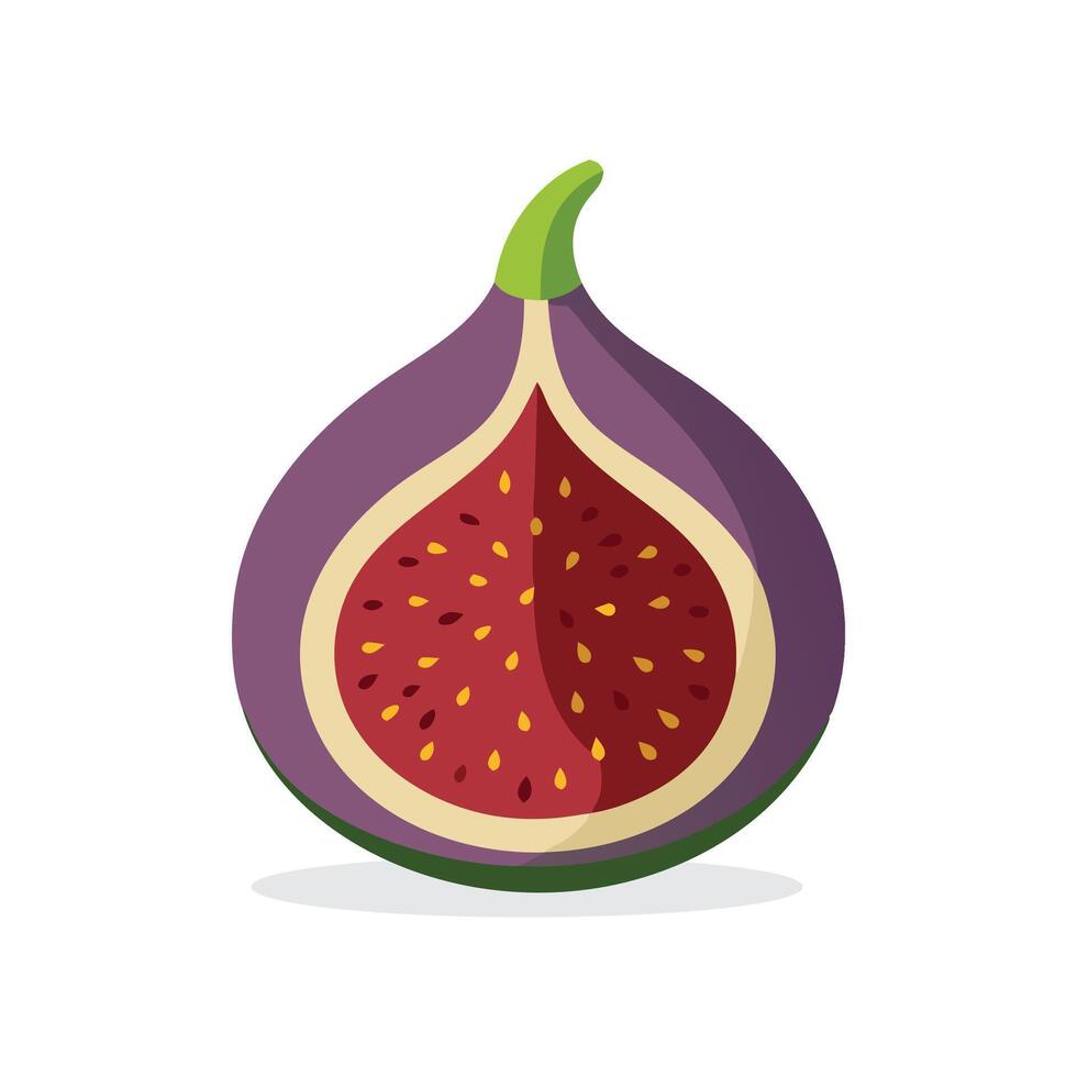 Fig fruit flat illustration on white background vector