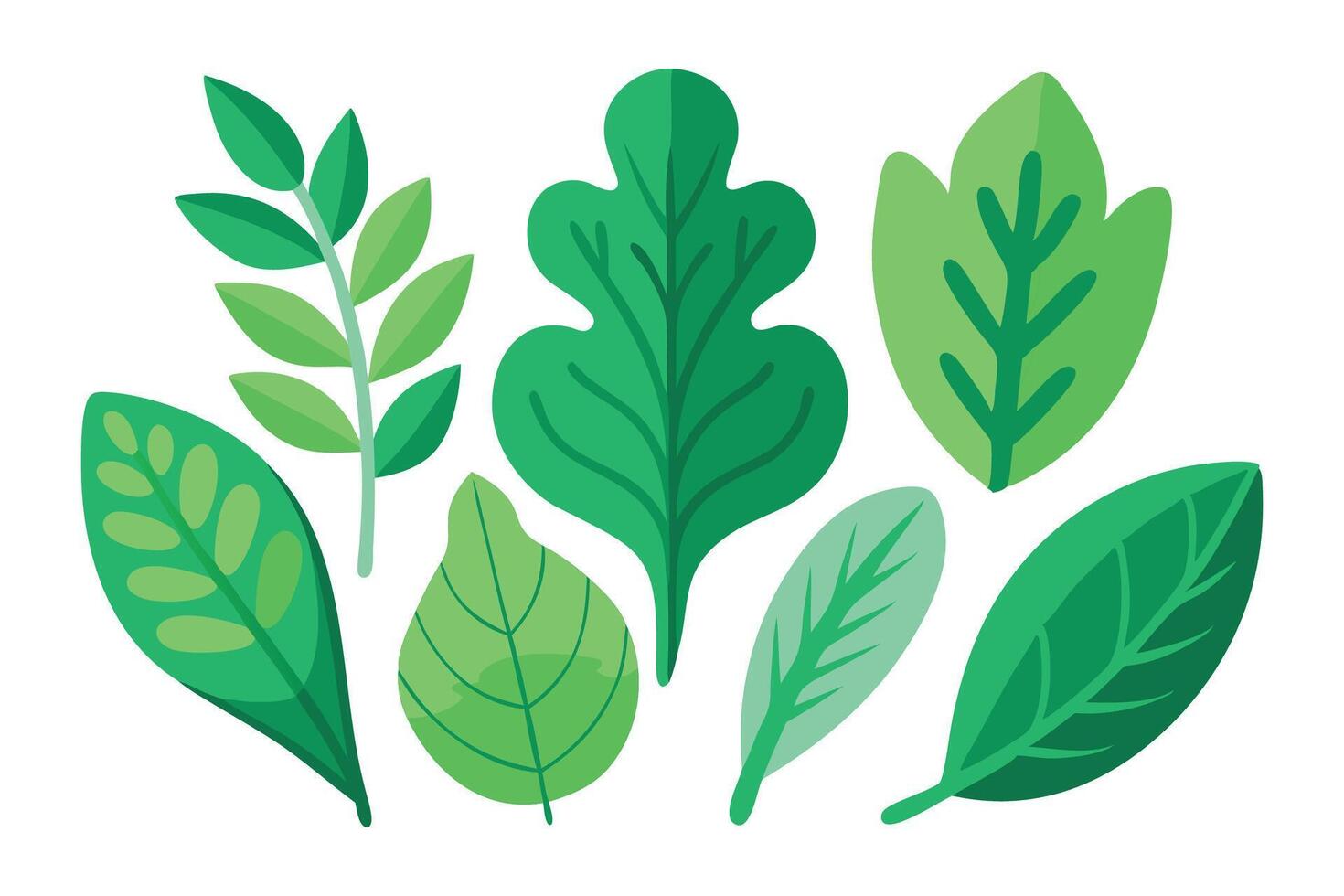 Lush green leaves set flat illustration white background vector