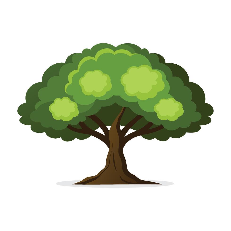 Black Walnut tree isolated flat illustration on white background vector