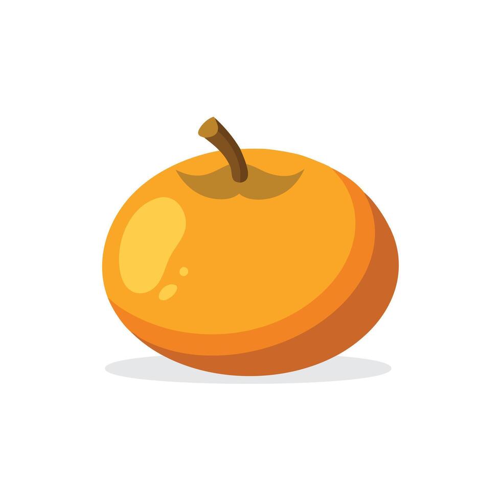 Loquat fruit isolated flat illustration on white background vector