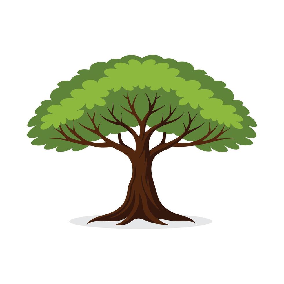 Black Walnut Locust tree isolated flat illustration on white background vector