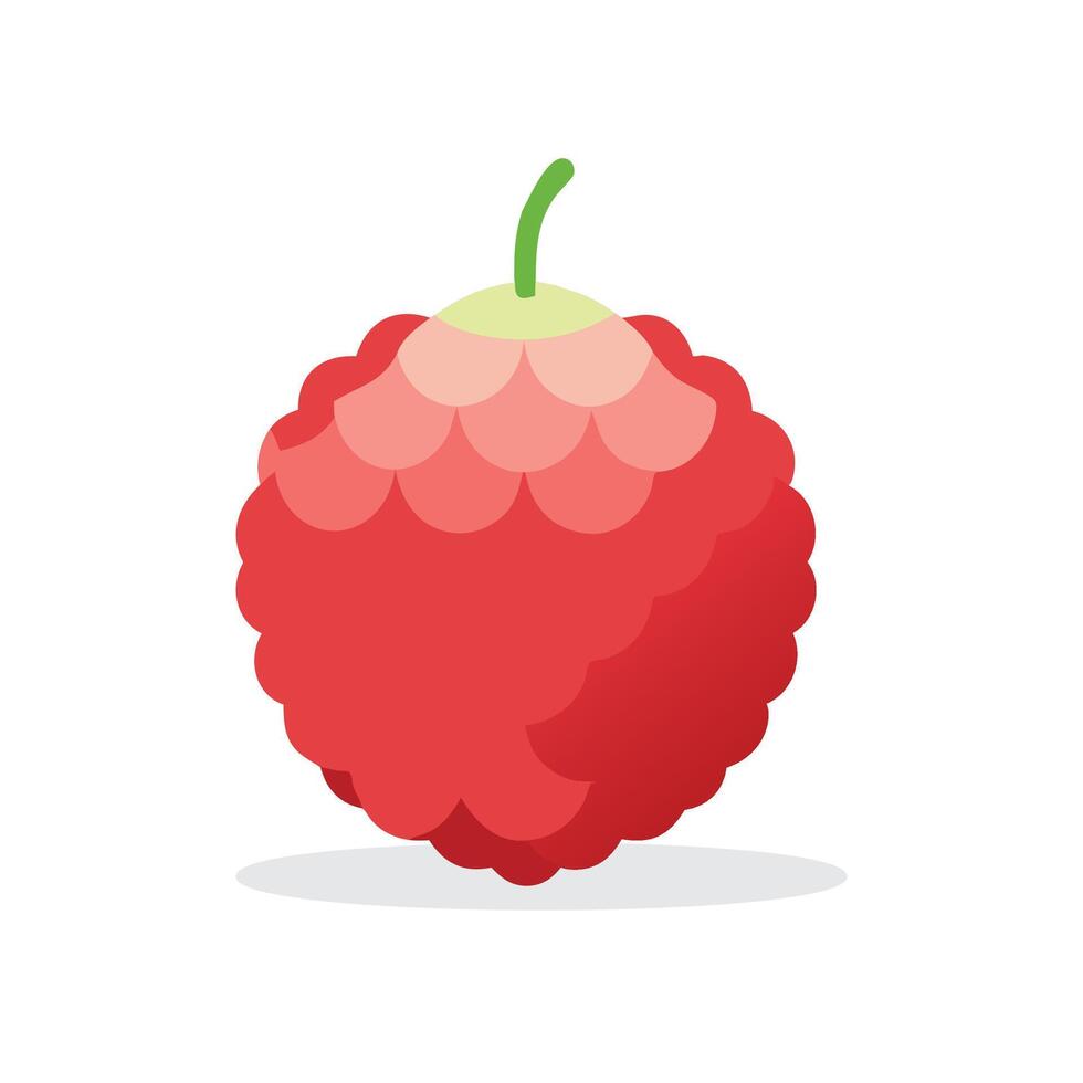 Lychee fruit flat illustration on white background vector