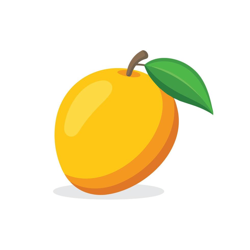 Mango fruit flat illustration on white background. vector