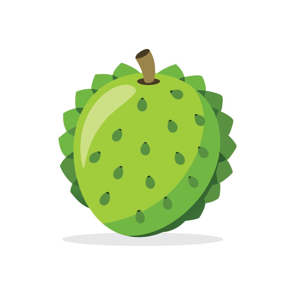 Soursop fruit flat illustration on white background. vector