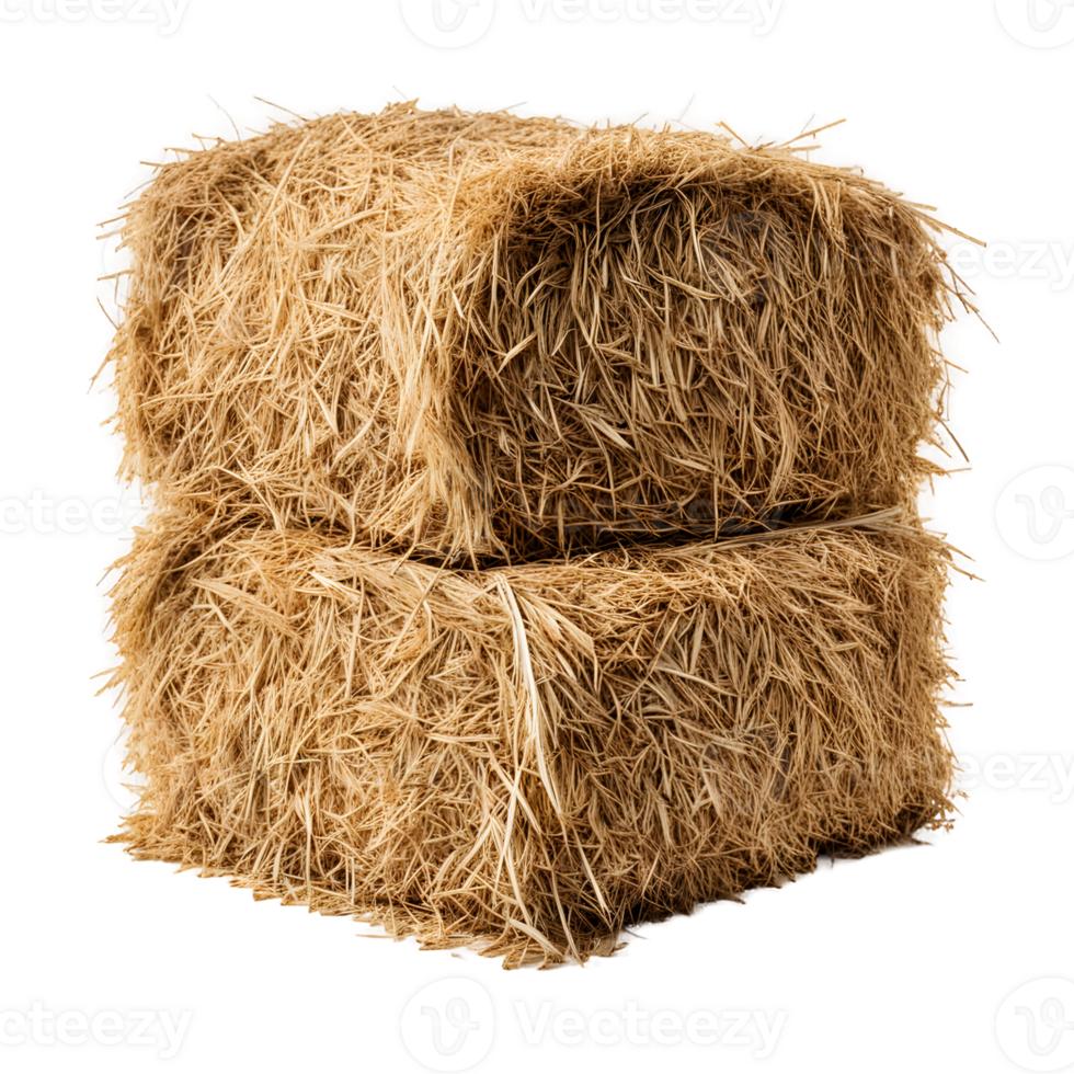 Hay Pile Isolated on Transparent Background png