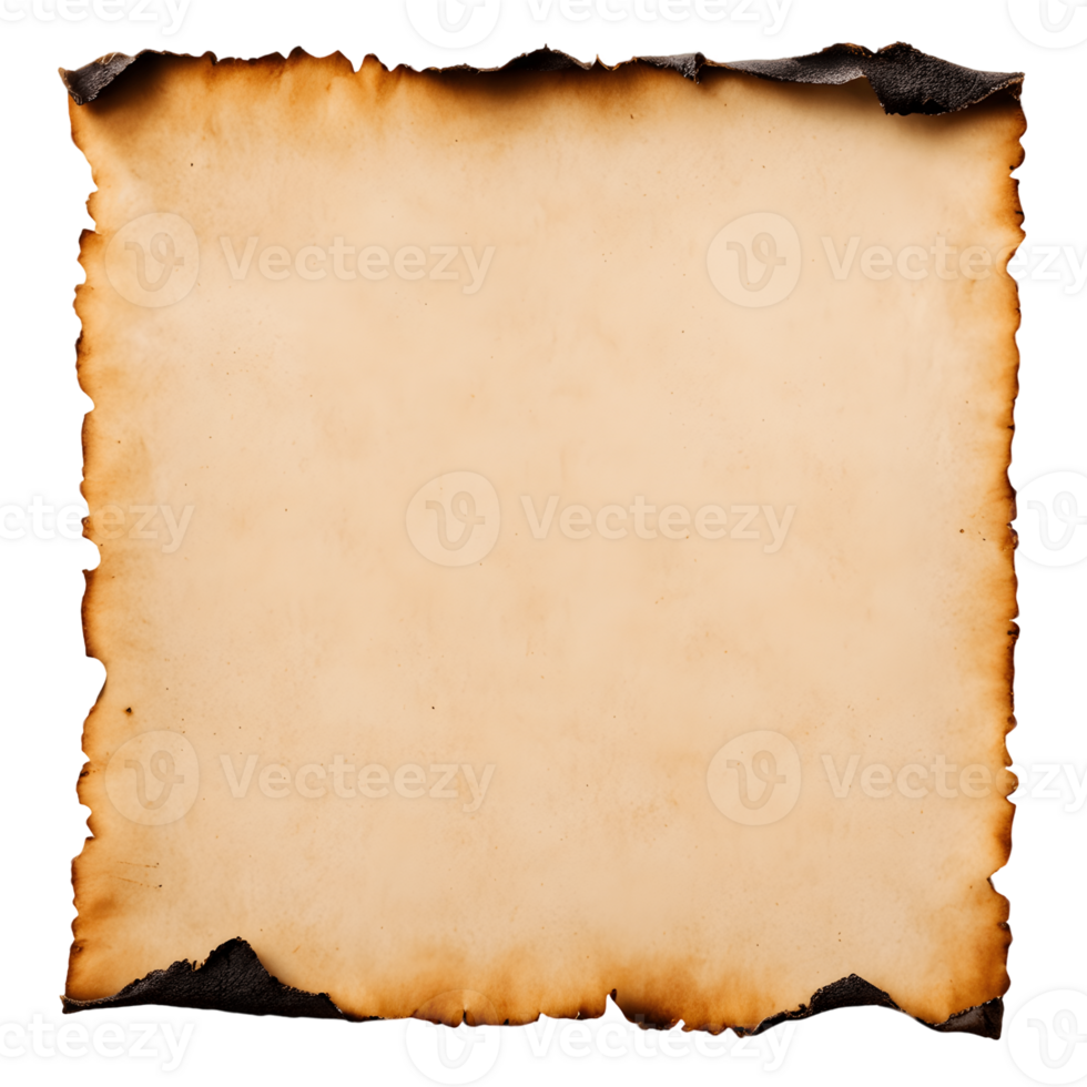Burnt Edged Old Paper Isolated on Transparent Background png