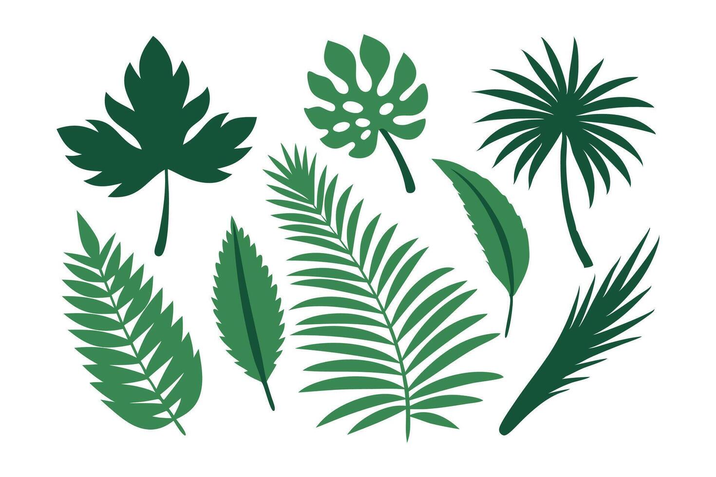 Minimalist palm leaf set isolated flat illustration white background vector