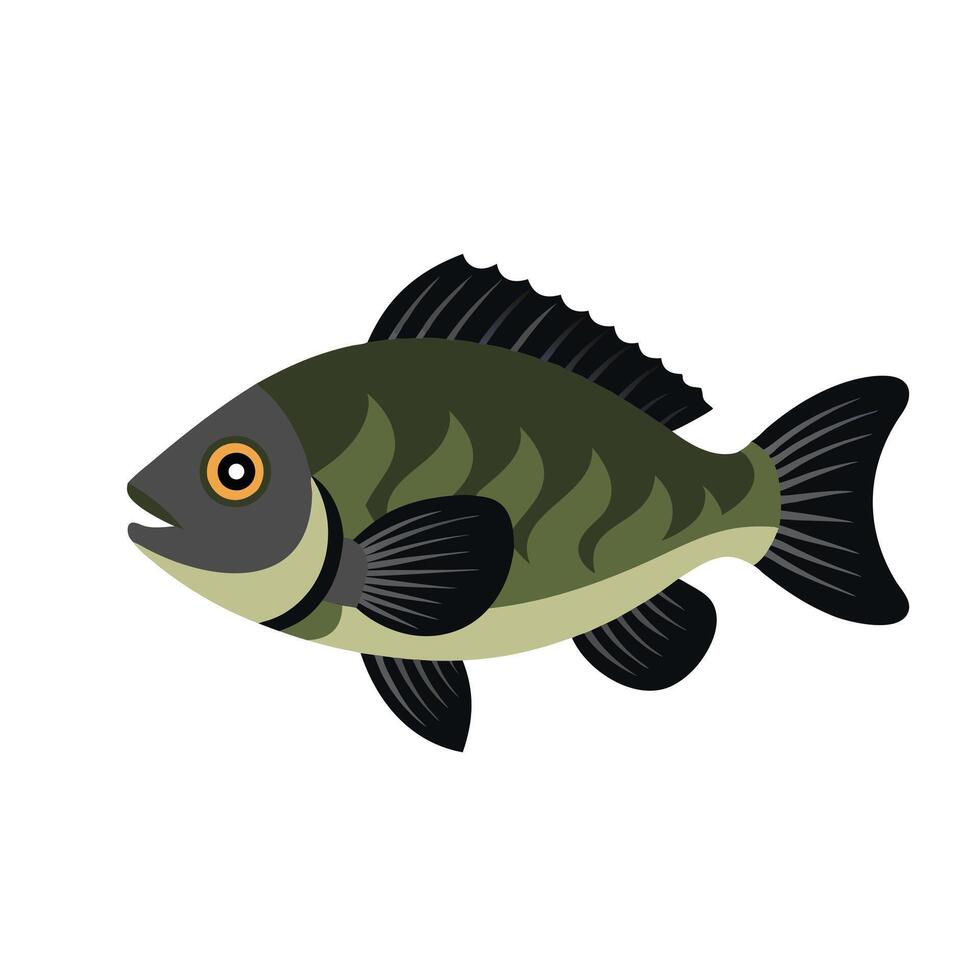 Crappie animal isolated flat illustration on white background vector