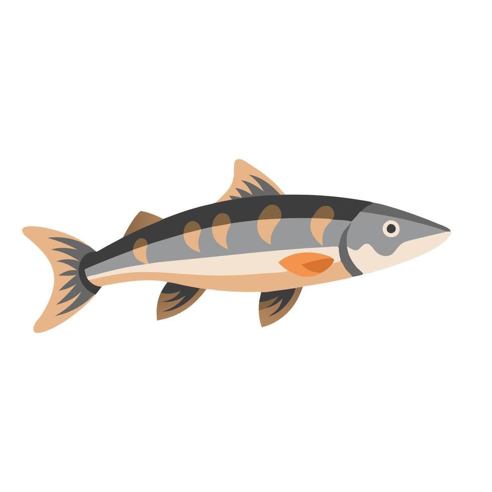 Chum salmon animal isolated flat illustration on white background vector