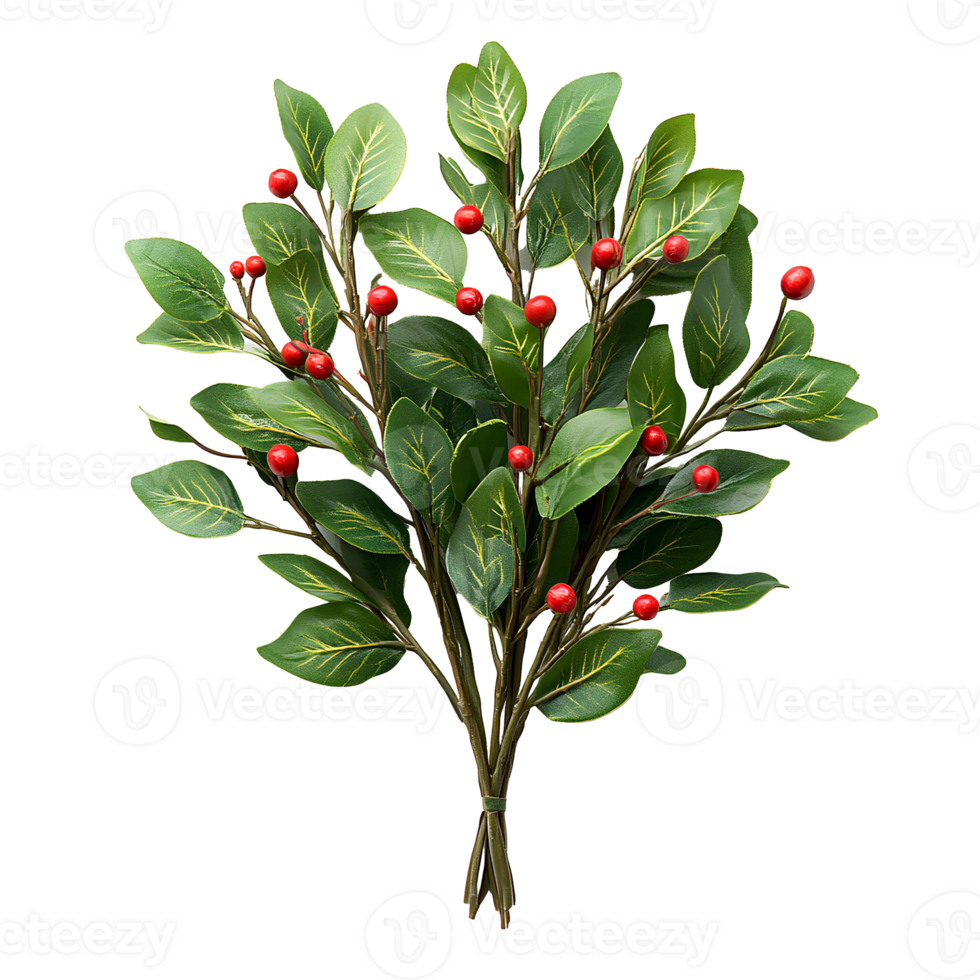 Mistletoe plant top view , flat lay design, isolated on transparent background. Festive green mistletoe with berries, traditional Christmas decoration for holiday celebrations and decor png
