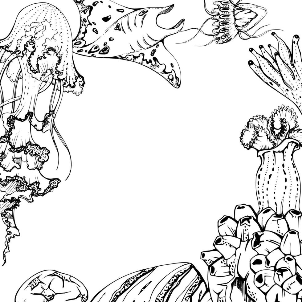 Marine life, sea ocean underwater creatures fish, shells algae seaweed, Ink and pen sketch hand drawn. Border frame illustration, stylized, isolated on white. For zoo shop, aquarium, cosmetics, resort vector