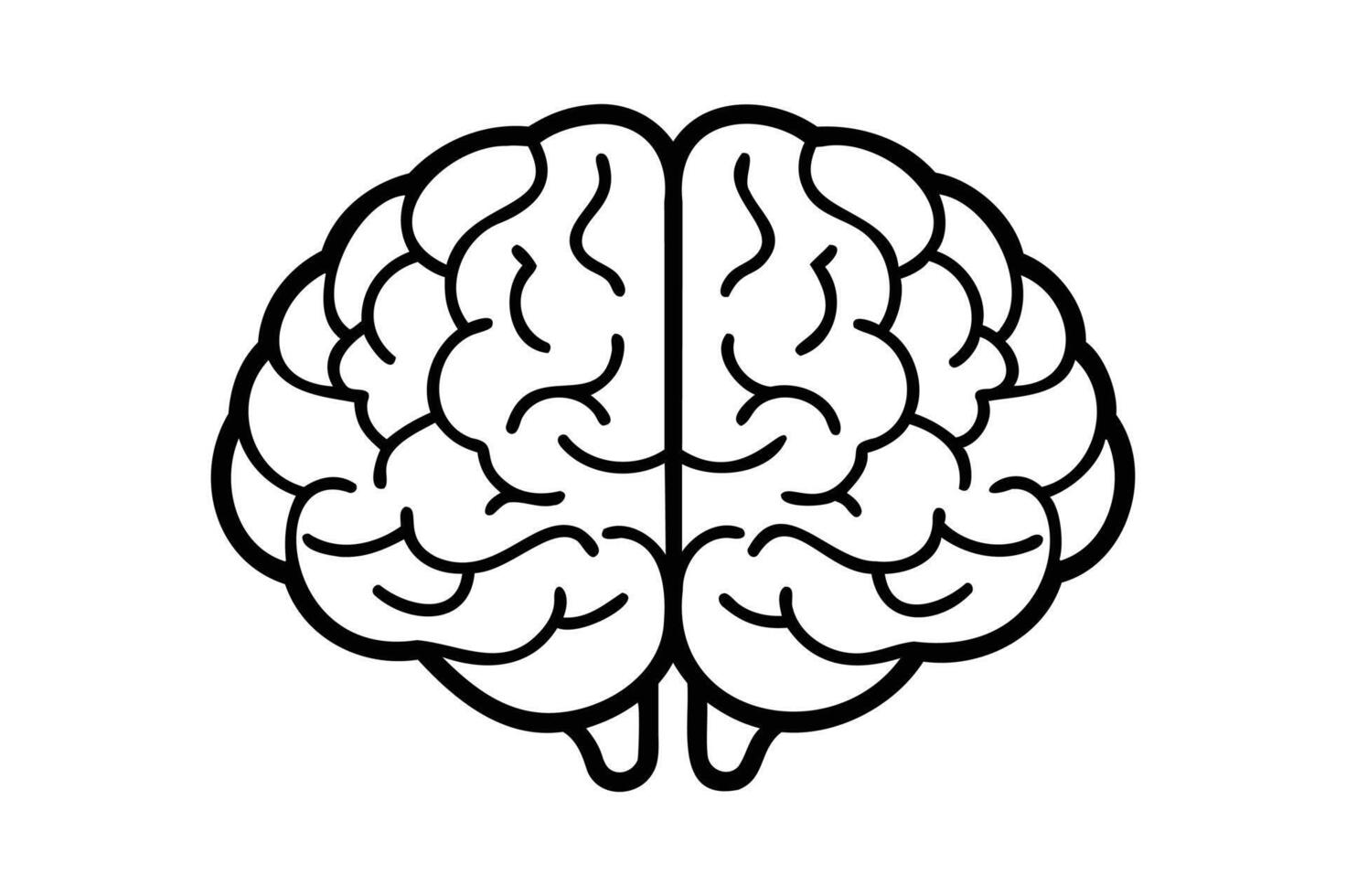 a black and white drawing of a human brain vector