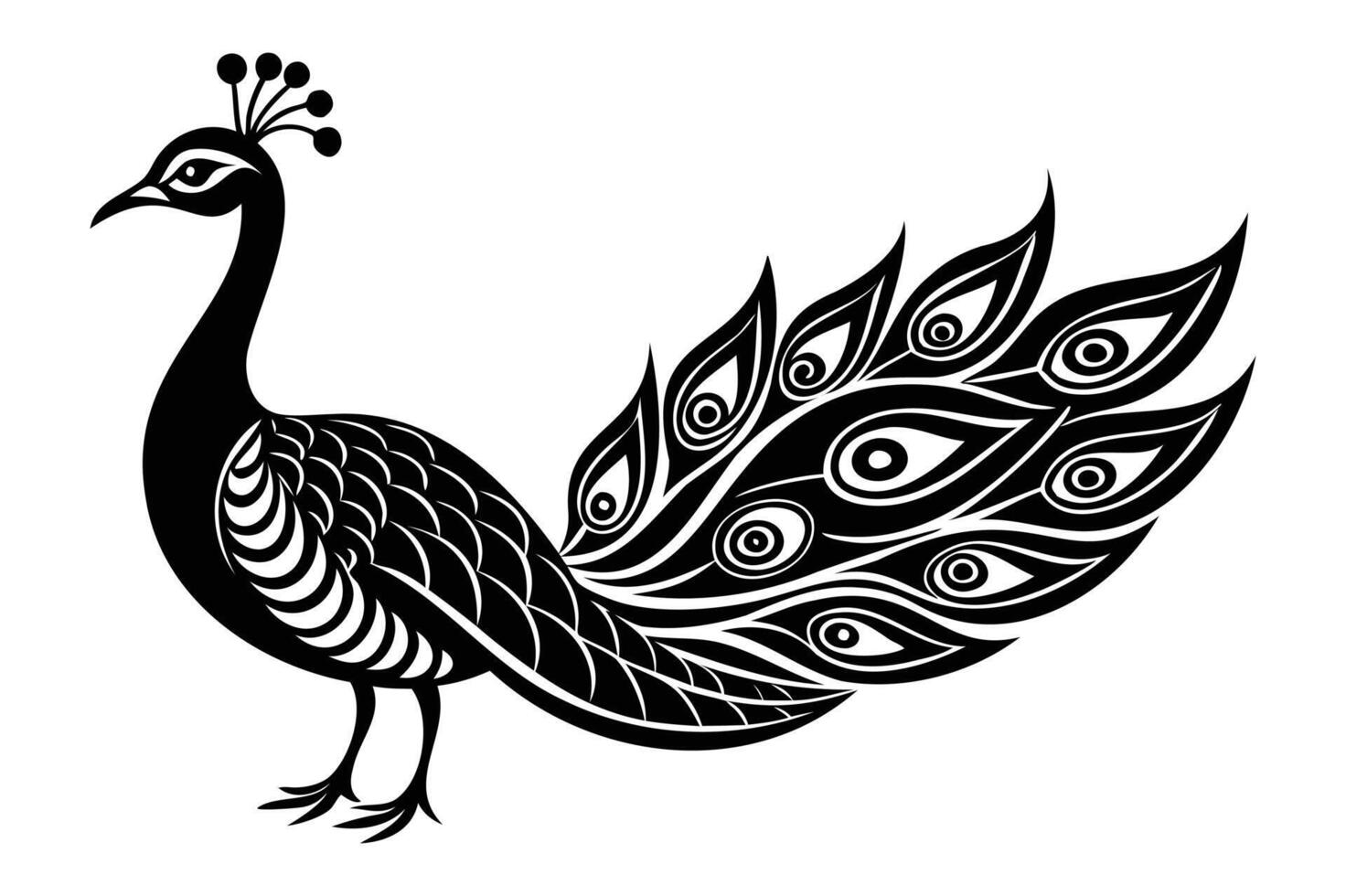 A black and white peacock with a long tail vector
