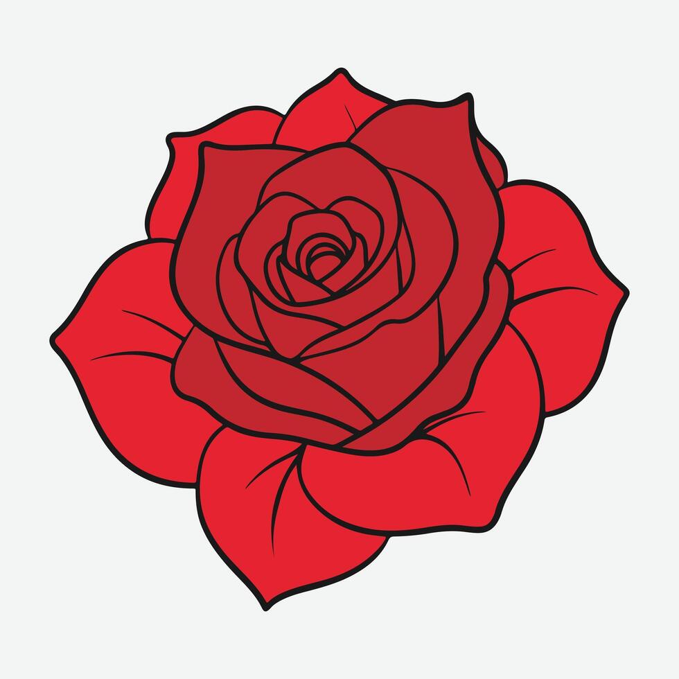 Red Rose Illustration vector