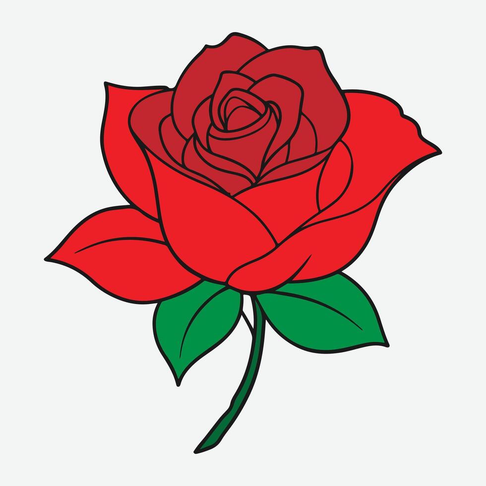 Deep red, ruby rose flower with green leaves, sketch style vector