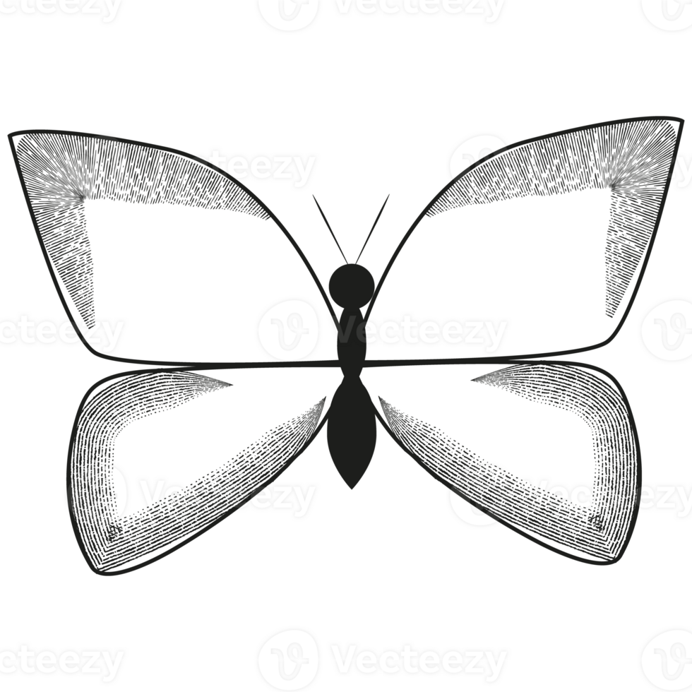 Decorative abstract black butterfly. png