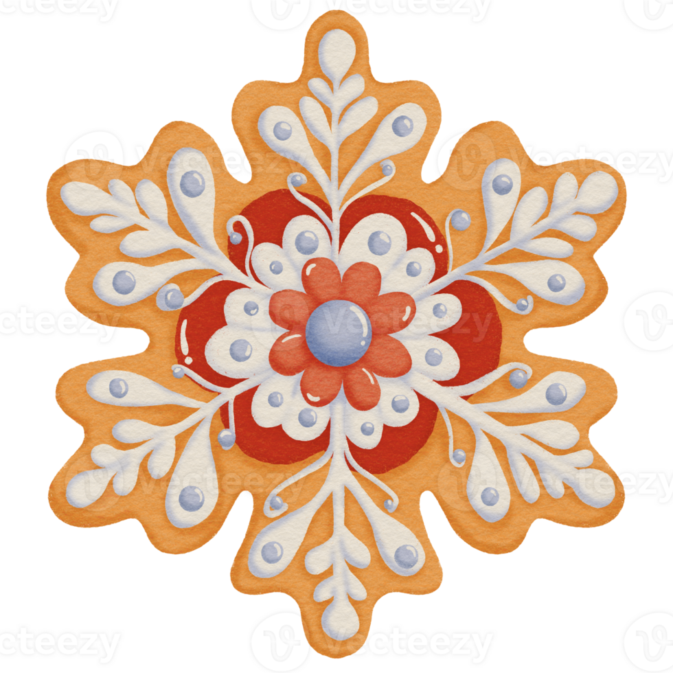 Christmas Snowflake Cookie with Icing Patterns png