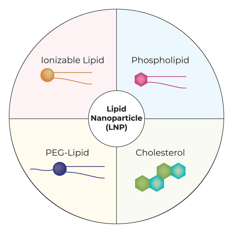Lipid Nanoparticle lonizable Lipid Phospholipid PEGLipid Cholesterol Illustration vector