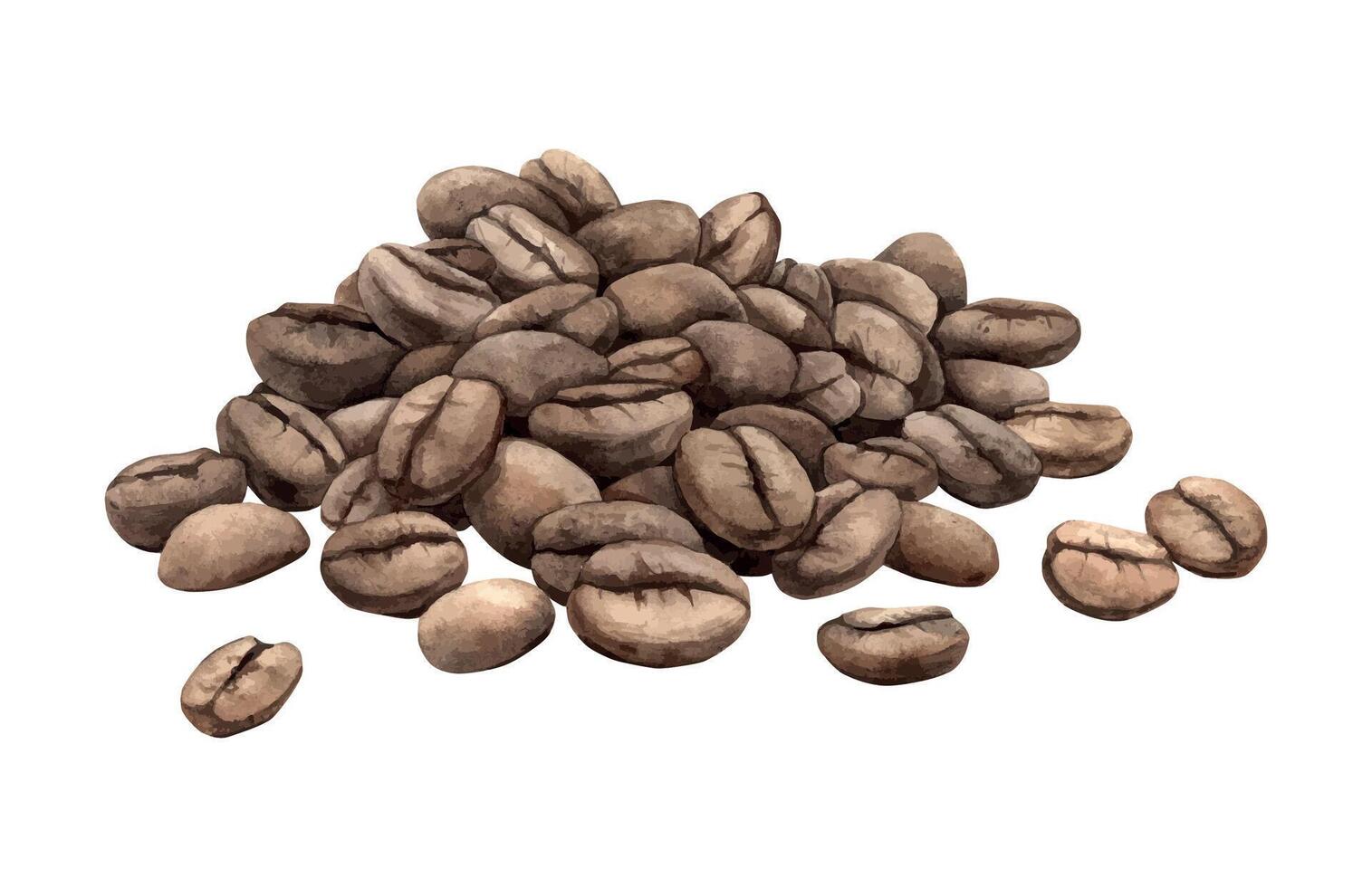 Roasted aromatic brown coffee beans. Medium roast beans. Watercolor illustration of natural food product, hand drawn on isolated background, for design of product packaging, shops, cafes, menu. vector