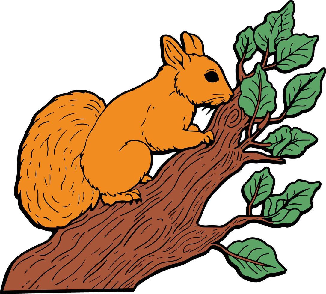 Squirrel on tree branch vector