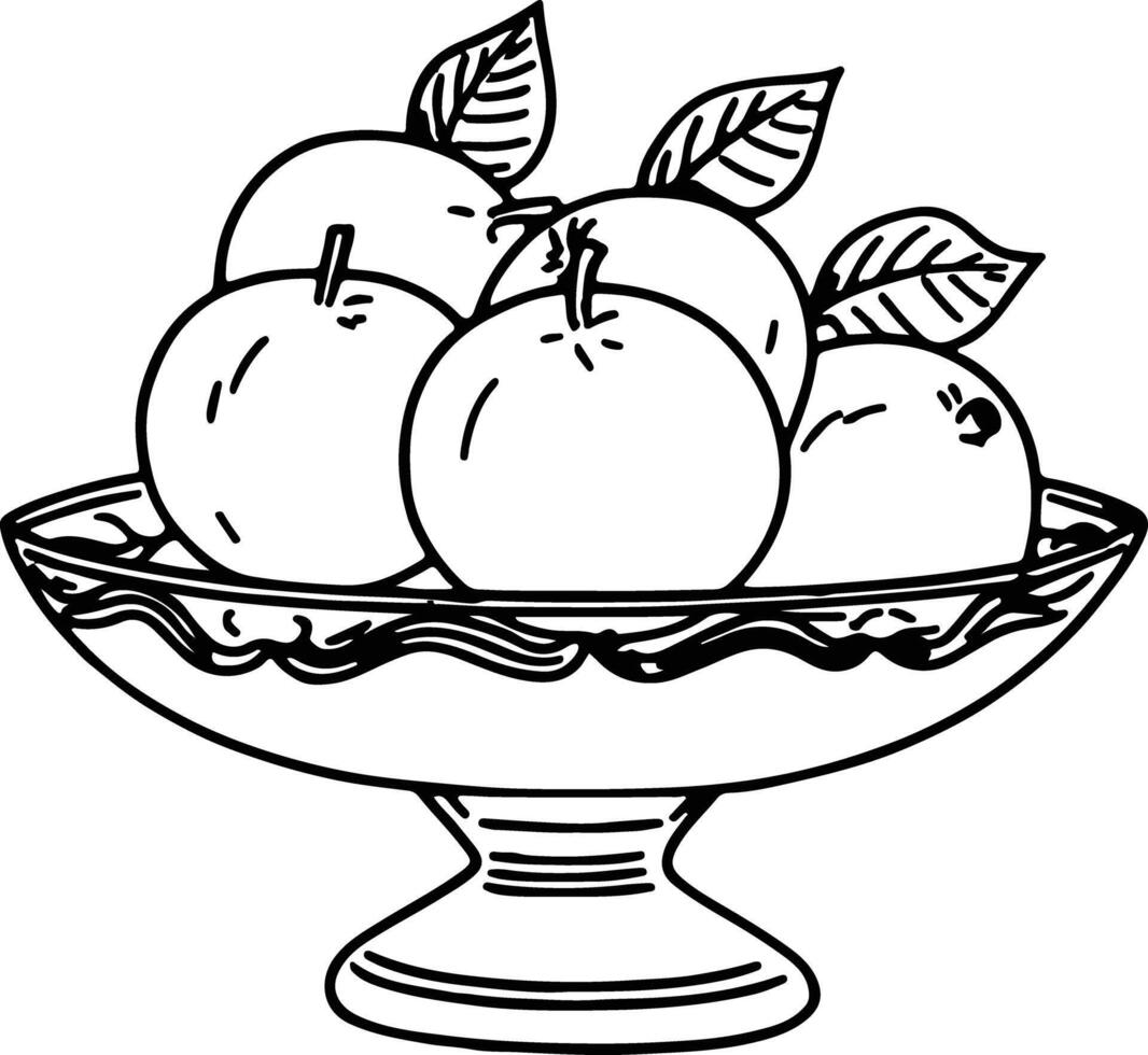 Pyxis Fruit hand drawn vector