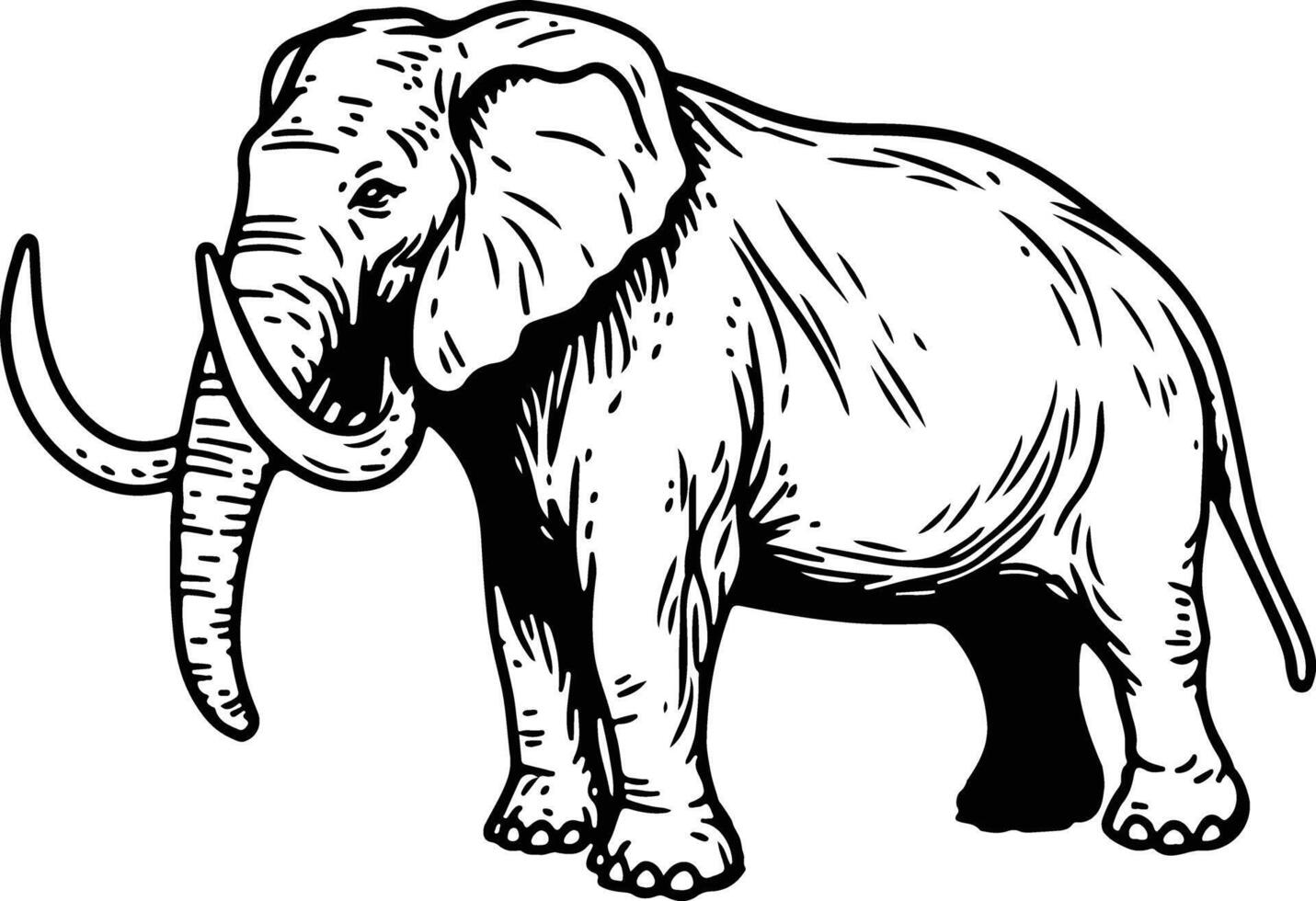 Woolly Mammoth or Mammuthus Primigenius vector