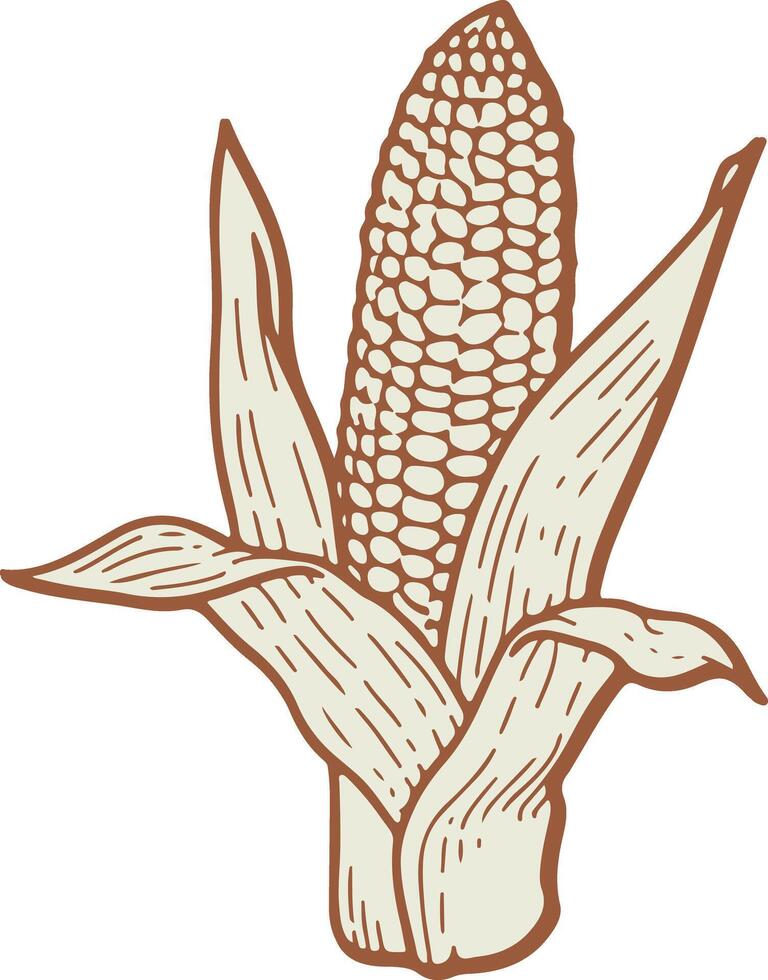 Corn clip art image vector