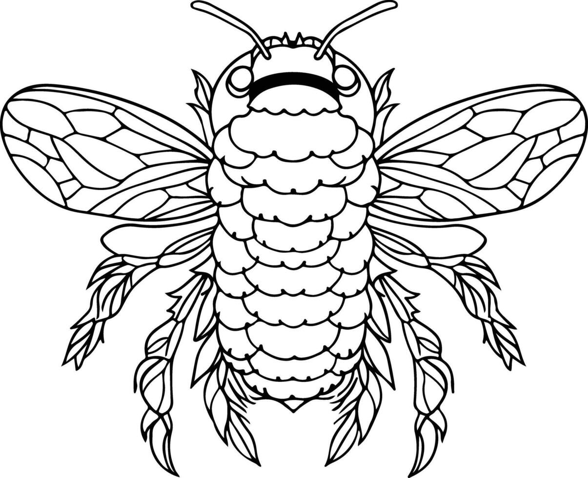 Varroa Destructor hand drawn vector