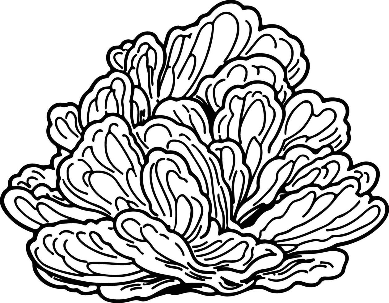 Favosites Niagariensis hand drawn vector