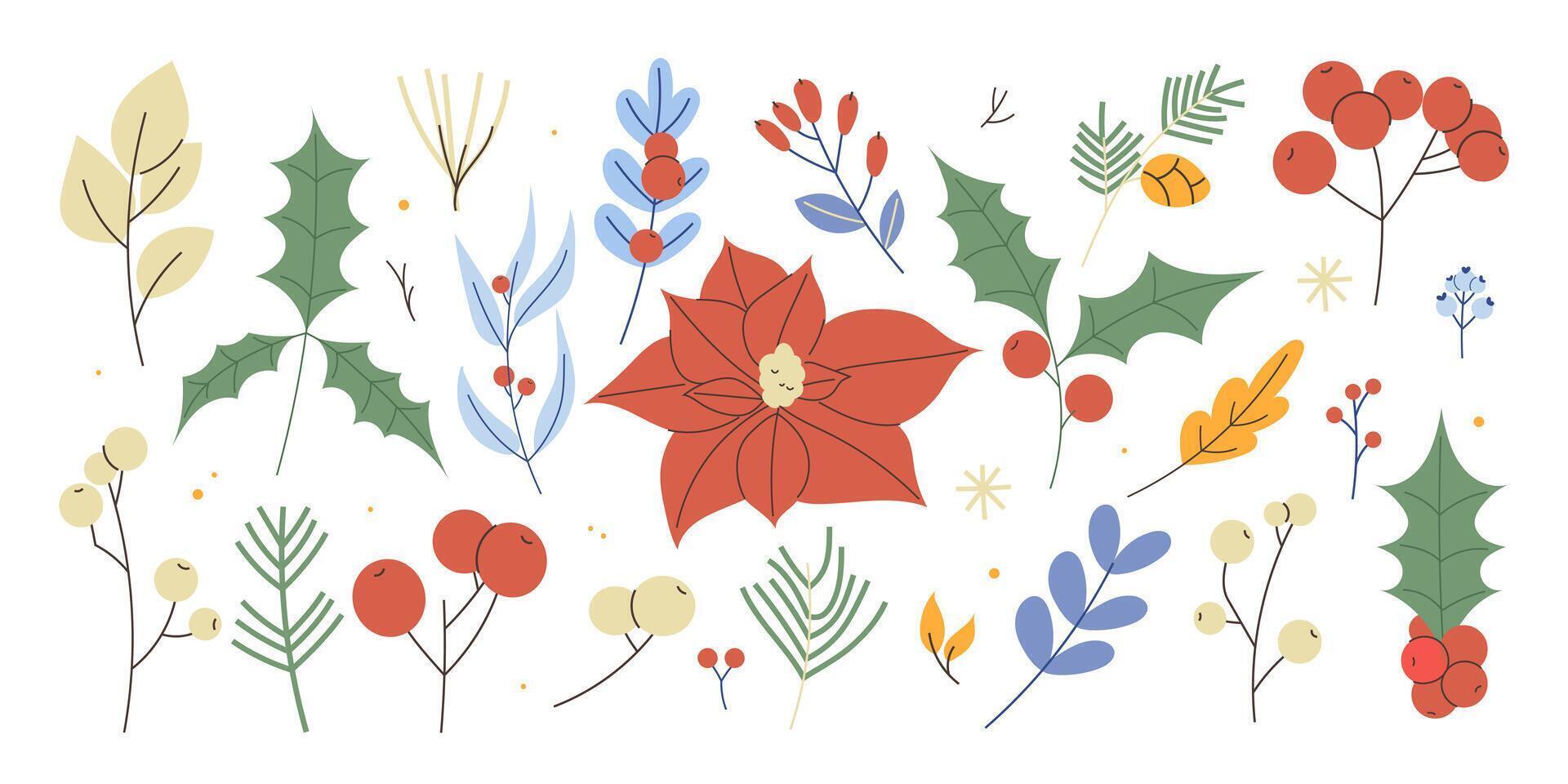 Christmas set of winter plants. Botanical set of winter flowers, plants, berries drawn by hand vector