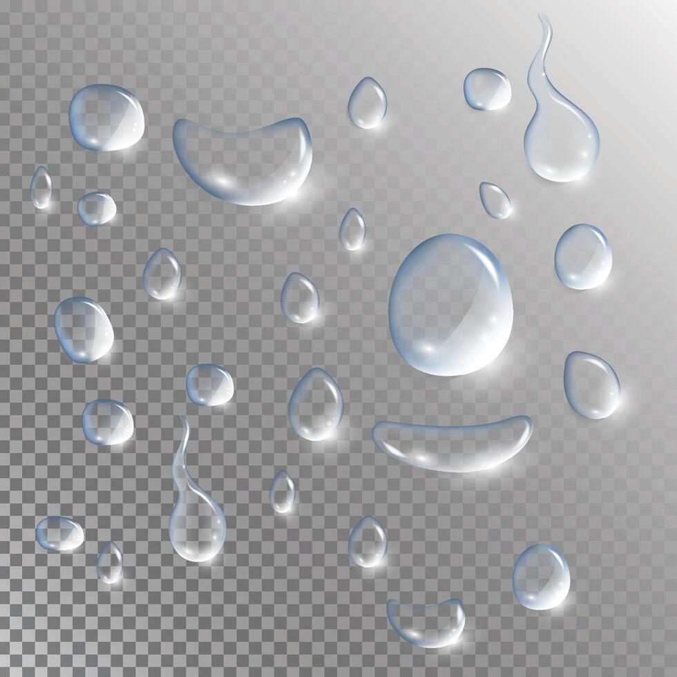 Realistic water drops dew vector