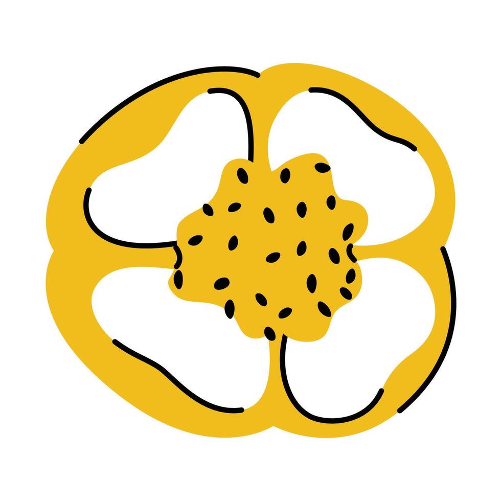 Bell pepper cross section with visible seeds in a simple hand drawn style vector