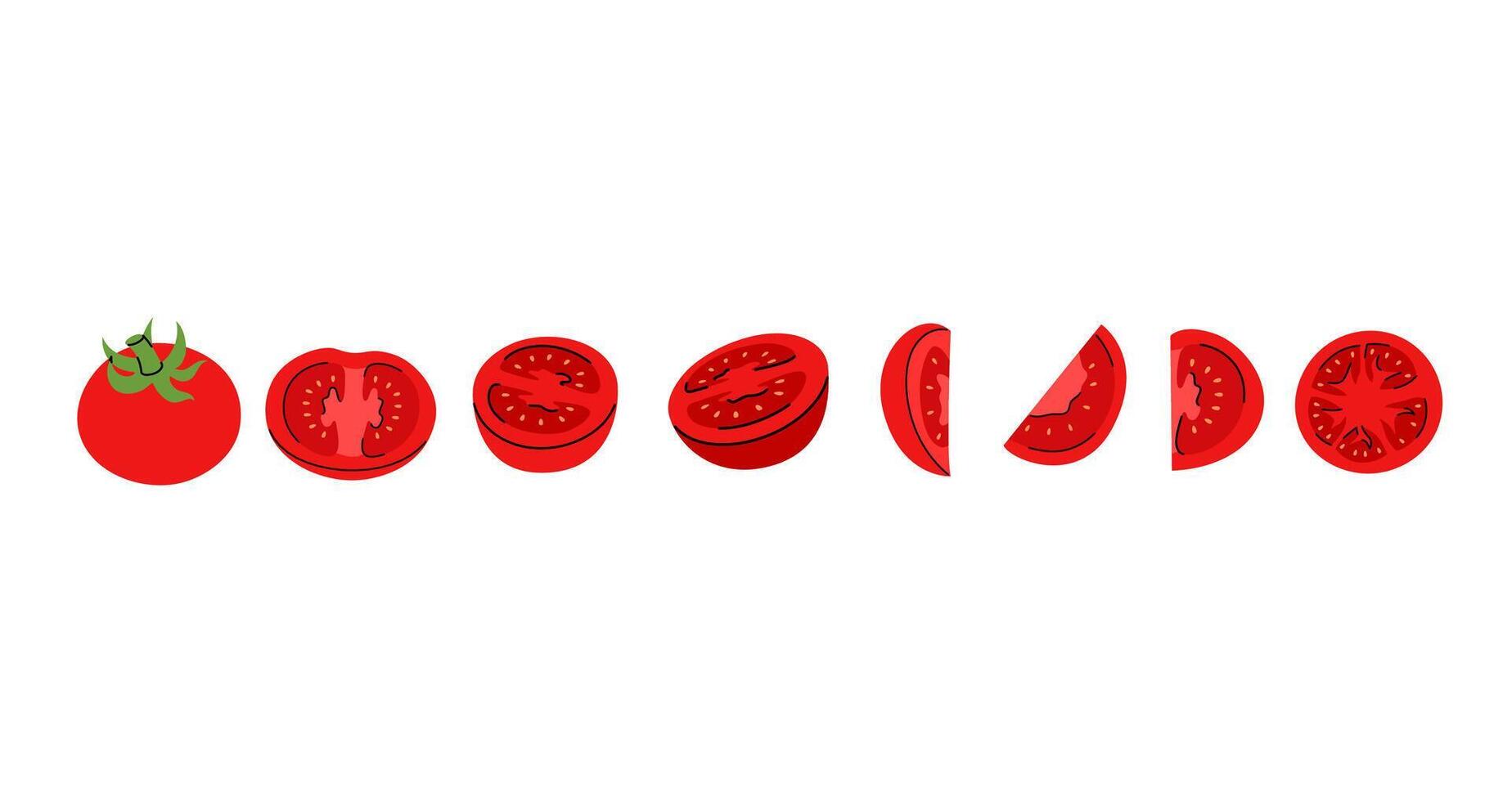 Graphic representation of red tomato, demonstrating full, cut, and thin slices different angles vector
