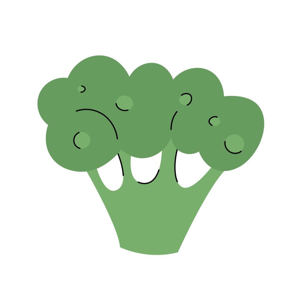 Fresh farm healthy food. Broccoli vegetable. Nutrition food in simple style vector