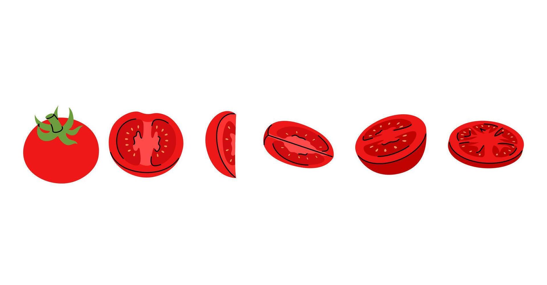 Creative design of a red tomato, with detailed slices, cut views, and full tomato illustrations for food art vector