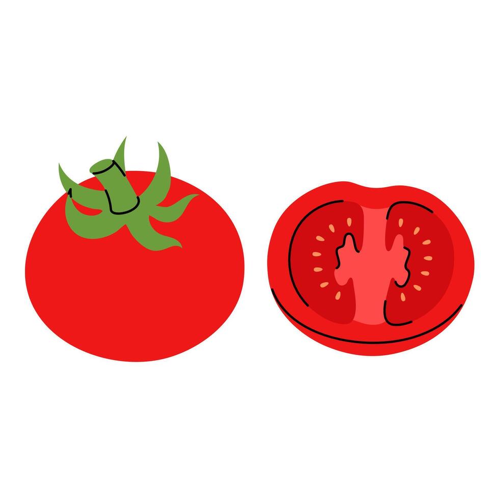 Tomato set. Whole and half cut tomato in hand drawn doodle style vector