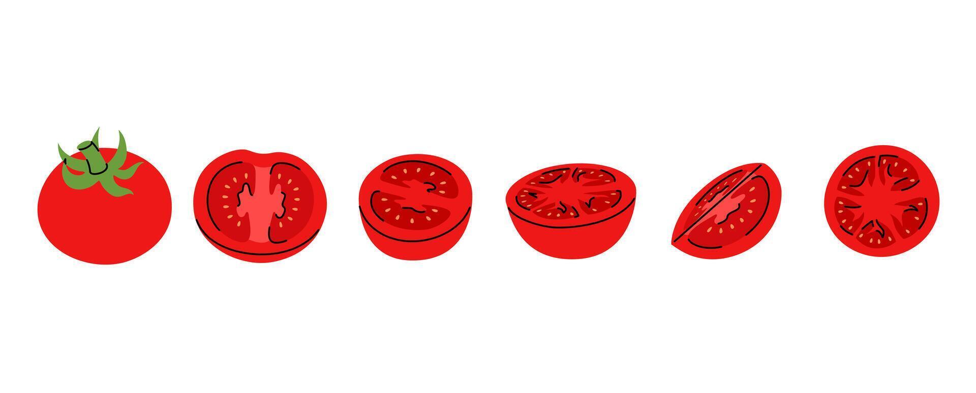 Set of illustrations depicting red tomato in multiple forms whole, halved, and sliced vector