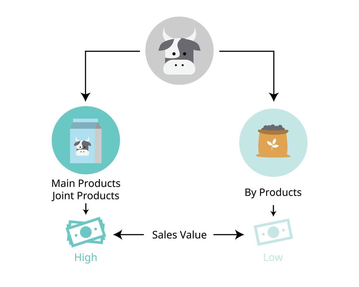 main product compare with by product vector